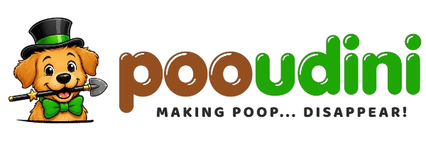 Pooudini
